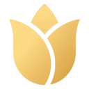 Withen VPN
